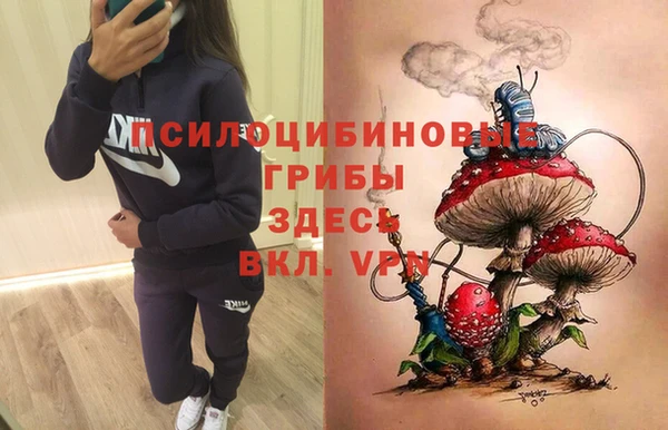 винт Мегион