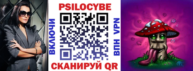 магазин Чапаевск Галлюциногенные грибы Cubensis
