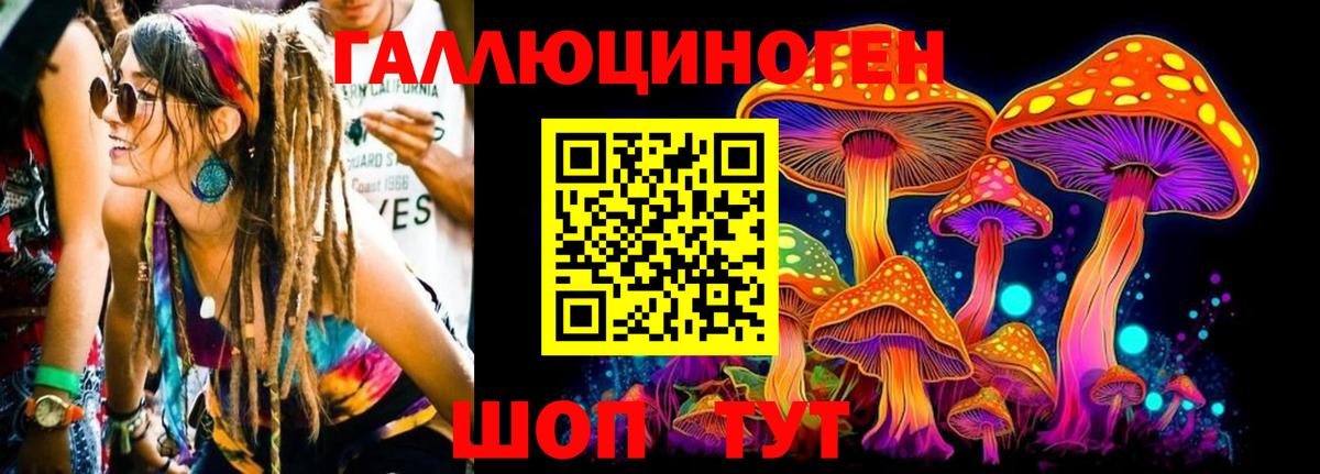 Чапаевск  Псилоцибиновые грибы прущие грибы  Вход с VPN  Галлюциногенные грибы ЛСД 